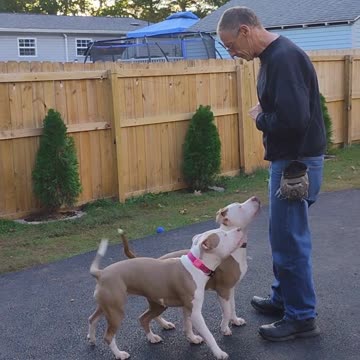 Hi we're Adonis and Athena