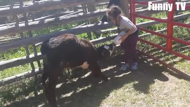 Bebes y animalitos pequeños 🥰