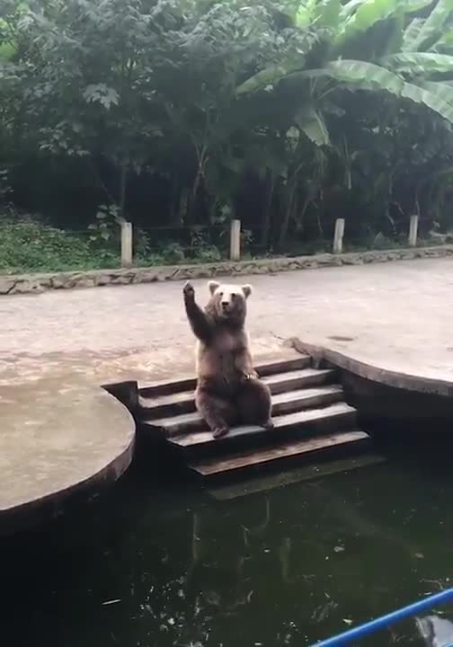 #funnyanimal #cute #funnypanda #panda #tomandjerry #kids #laught #tv #smile #secret #happiness