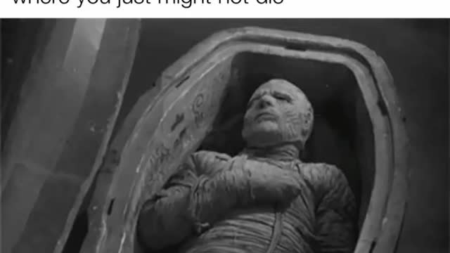 Hilarious memes #shorts