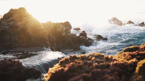 Ondas agitadas