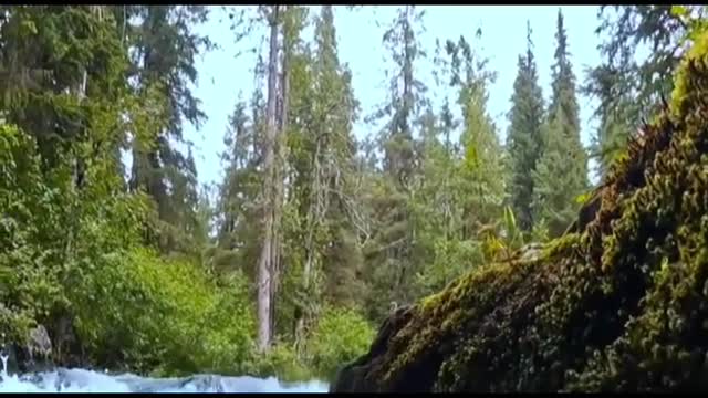 the air is so fresh