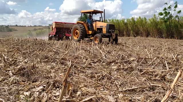 VALMET 880 PLANTADEIRA VENCE TUDO 7 LINHAS