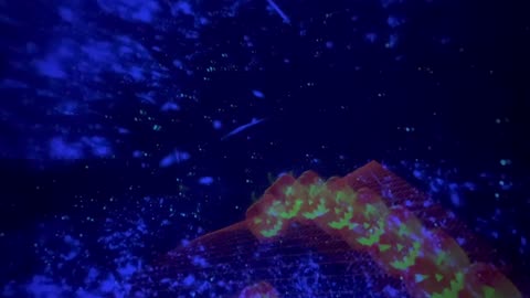 #LibertyScienceCenter with #JohnnyRay 10-17-24