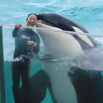 Cute girl vs Cute Dolphin