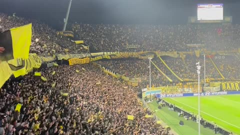 Penarol