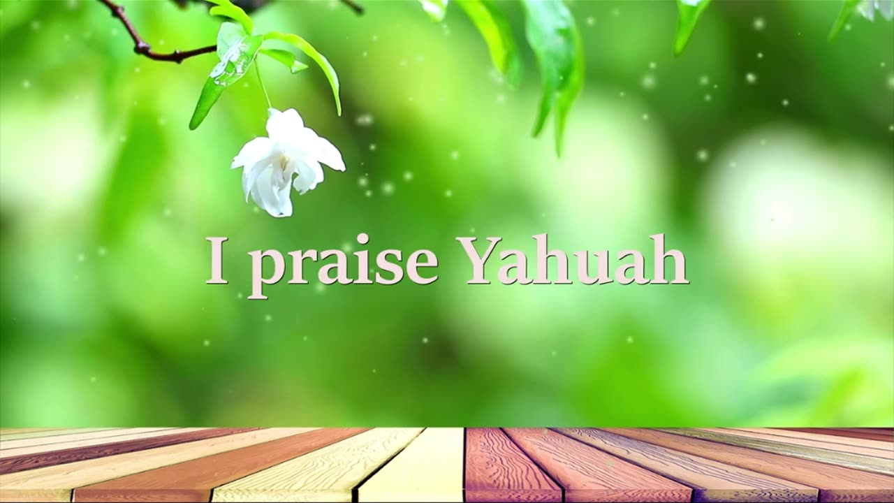 Halleluyah - Aleluya - Haleluyah - Hallelujah