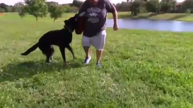 How to make your dog fully aggressive instantly with few simple tips