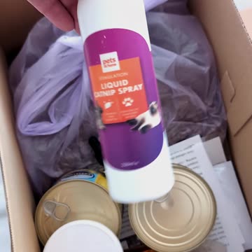 Donating a box of goodies for some cats in Coimbra