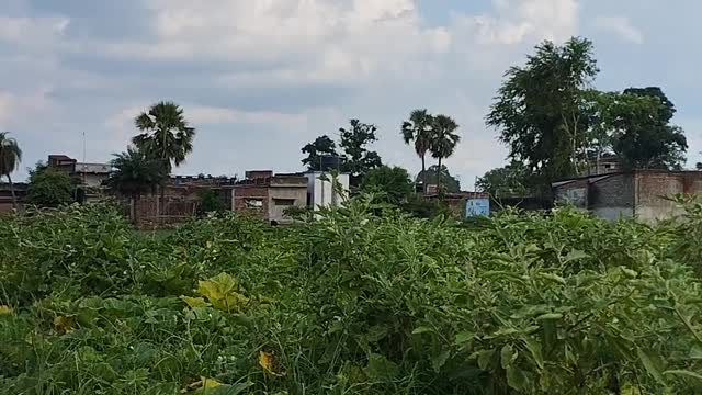 Village Bodhgaya bihar