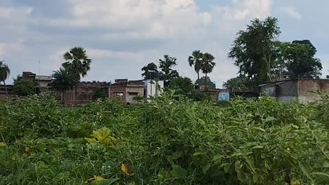 Village Bodhgaya bihar