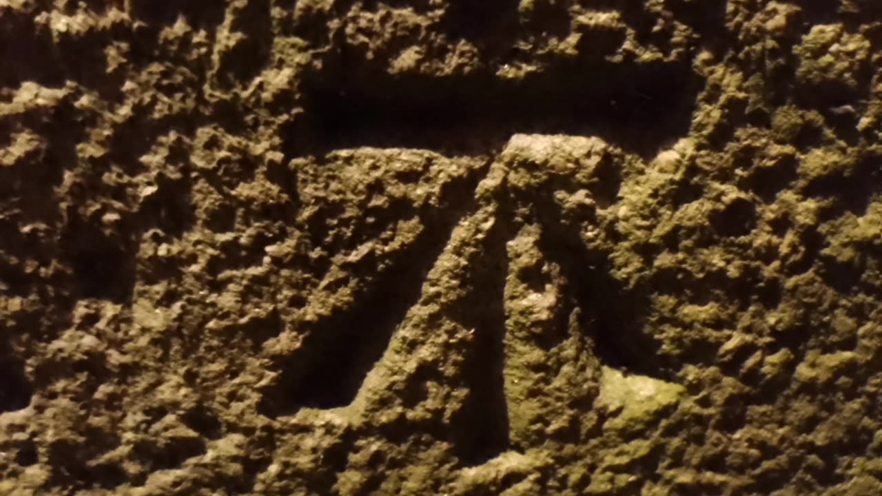 VIVARAY - ross charles myles pike