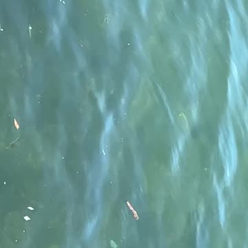 Beautiful water sasebo japan