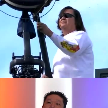 Bees Swarm A Championship Tennis Match