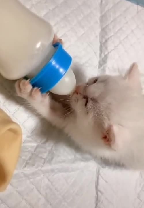 love, oh this is love