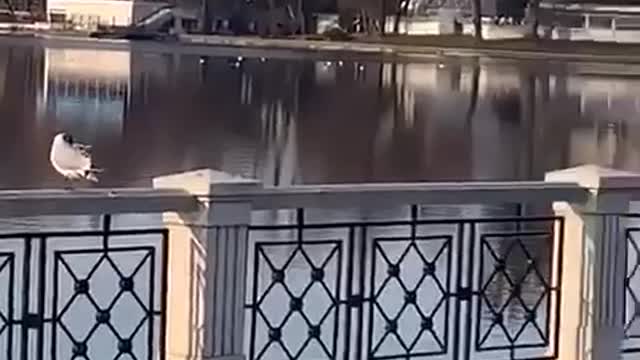 There was a sudden bombardment