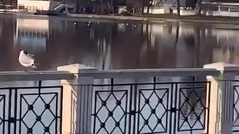 There was a sudden bombardment