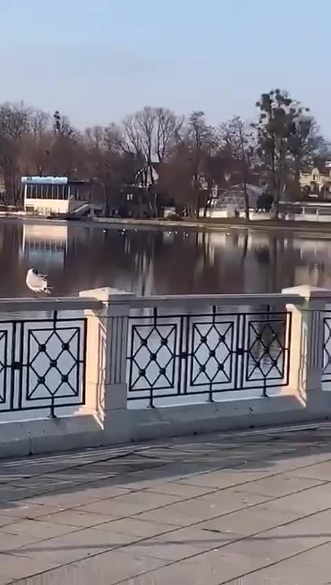 There was a sudden bombardment