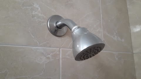 Shower Head