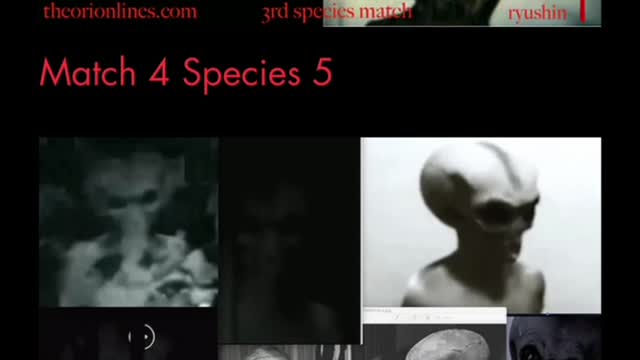 Sifting through alien races.