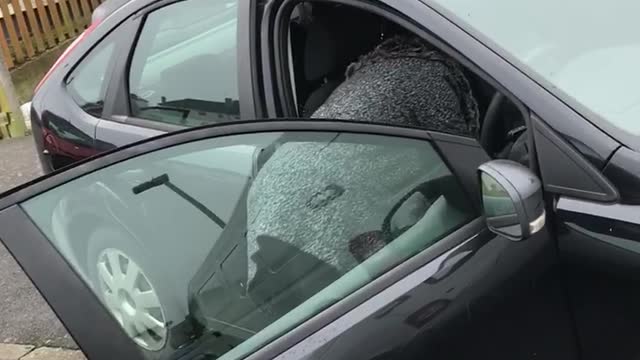 Get Your Car Off My Van