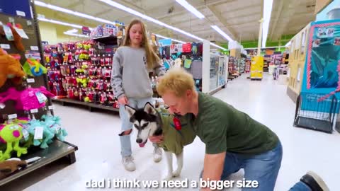 My Daughter Has 24 Hours to SAVE A PUPPY *emotional* Jordan Matter