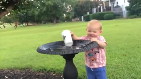 TRY NOT TO LAUGH! FUNNY VIDEOS 2024 I FUNNY COMPILATION VIDEOS