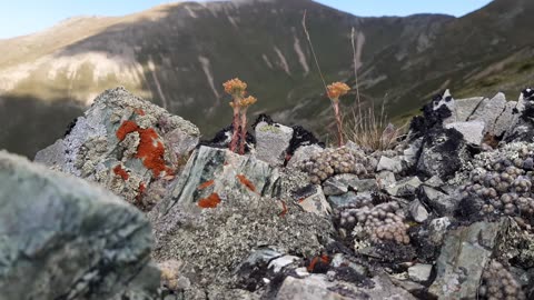 VIEWS FROM THE PLATEAU-84