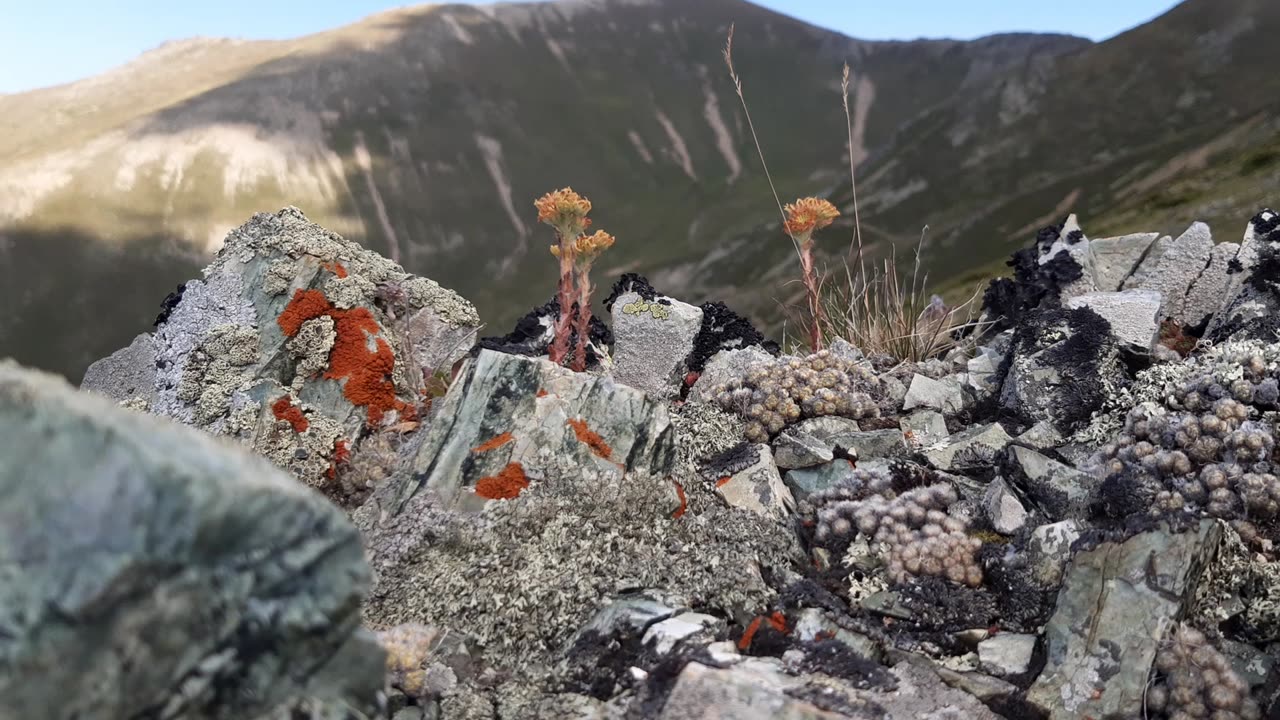 VIEWS FROM THE PLATEAU-84