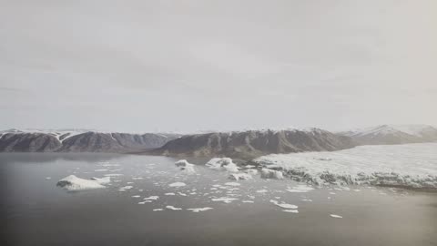 Earth Reborn: A Hypothetical World Without Humans