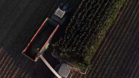 Amazing Agricultural Video