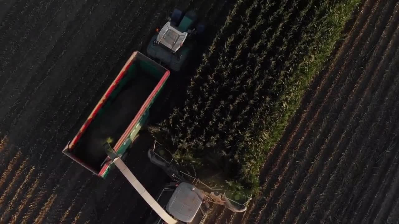 Amazing Agricultural Video
