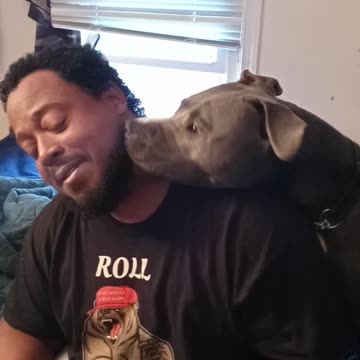 Boogie the four legged hair dryer