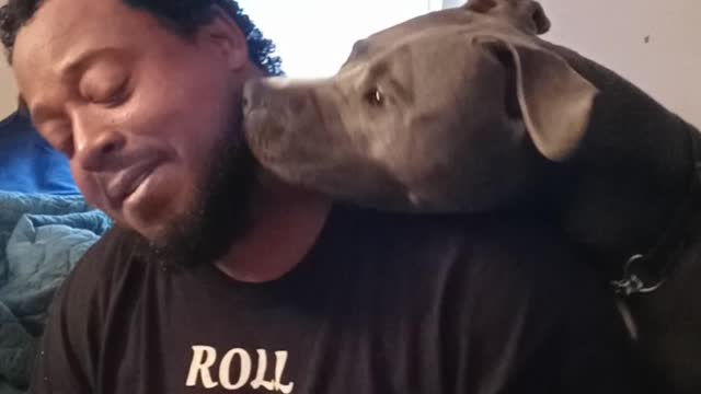 Boogie the four legged hair dryer