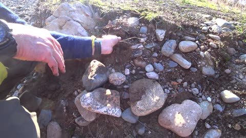 We Found Something Truly Amazing!