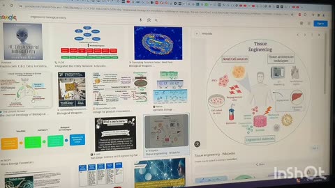 MANY BODIES VS JUST YOU'RE BODY: I.O.B. VS WBAN - CORRECTING KAREN KINGSTON'S CONTINUED CHOSEN IGNORANCE WITH PROOF AGAIN!