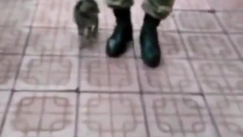 A Cat Stepping In Time In The Ukraine-Russia War