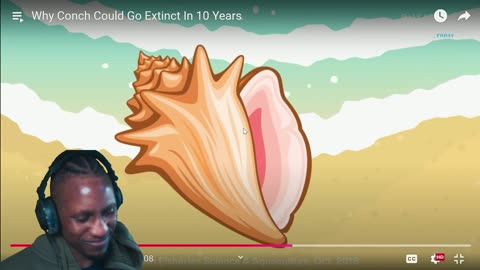 Why Conch Could Go Extinct In 10 Years