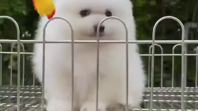 I am happy with you, cute
