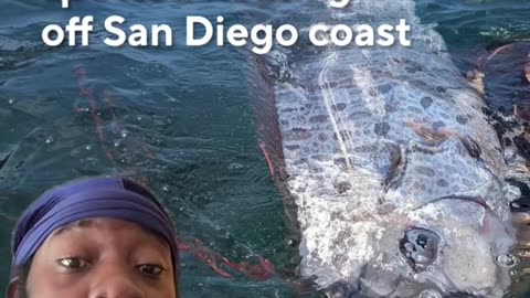 SAN DIEGO BE ON ALERT!!!