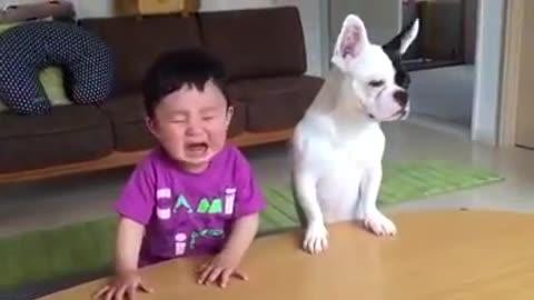 Most Funny Dog and Kid Video
