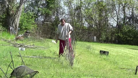 Great and Terrible Gardening s1e1