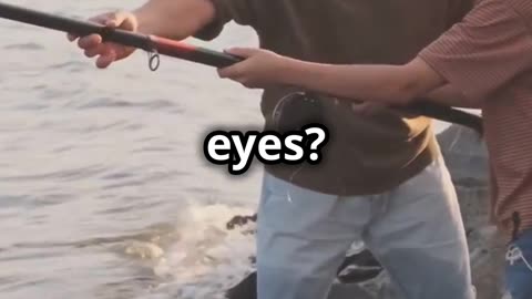 What Do You Call a Fish With No Eyes? @DadFunnies.com