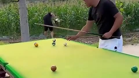 Billiard playing funny video
