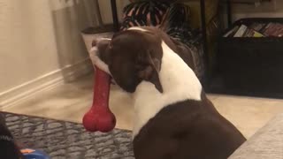 I want to play!!!