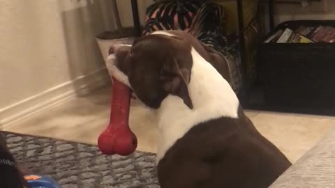 I want to play!!!