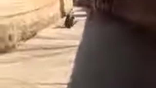 Funny kids videos 2021