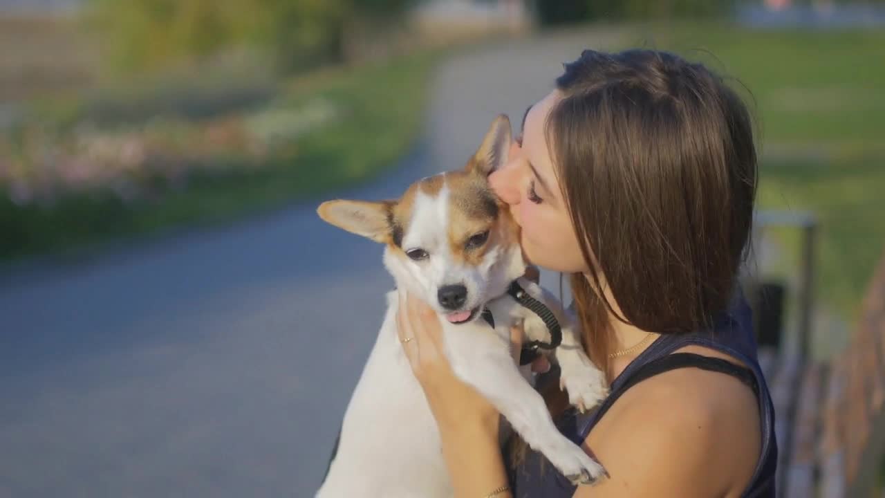 The attractive young girl sitting on a bench with the dog in the park