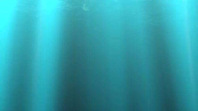 Introduction to the Book of Revelation - Lesson 1