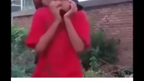 Funny video #trending